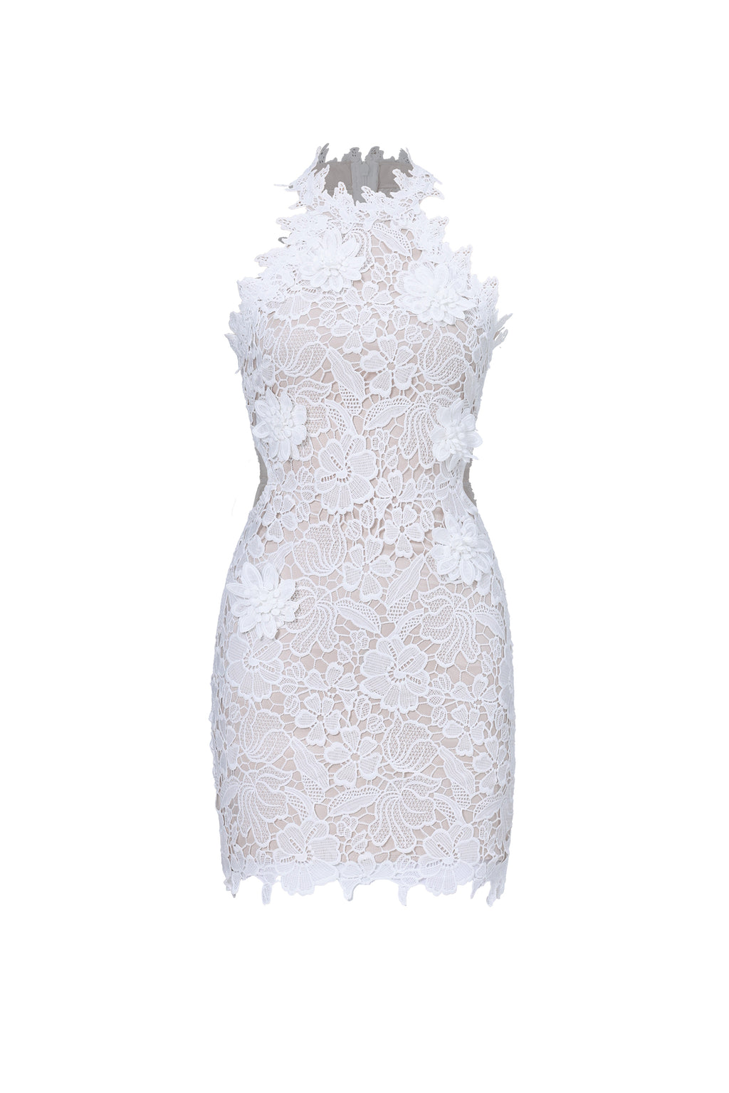 Nadja Romantic Contour Sleeveless Floral Lace Mini Dress	