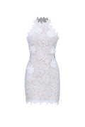 Nadja Romantic Contour Sleeveless Floral Lace Mini Dress	