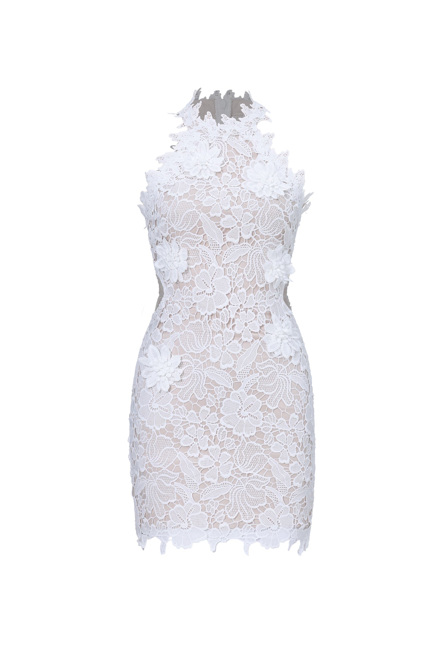 Nadja Romantic Contour Sleeveless Floral Lace Mini Dress	